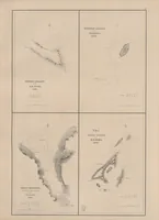 An illustration from United States Exploring Expedition. During the year 1838, 1839, 1840, 1841, 1842 (1844)