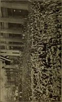 An illustration from The United States flag : its history, symbolism and regulations for display (1917)