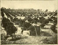 Picture 74 of 218 from The United States in prophecy; our country, its past, present, and future, and what the Scriptures say of it (1914), leaf 148