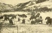 Picture 8 of 218 from The United States in prophecy; our country, its past, present, and future, and what the Scriptures say of it (1914), leaf 28