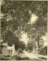 Picture 156 of 218 from The United States in prophecy; our country, its past, present, and future, and what the Scriptures say of it (1914), leaf 372