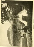 Picture 1 of 218 from The United States in prophecy; our country, its past, present, and future, and what the Scriptures say of it (1914), leaf 5