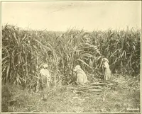 Picture 18 of 218 from The United States in prophecy; our country, its past, present, and future, and what the Scriptures say of it (1914), leaf 51