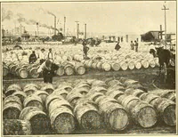 Picture 19 of 218 from The United States in prophecy; our country, its past, present, and future, and what the Scriptures say of it (1914), leaf 52