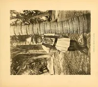 Picture 17 of 18 from The United States of America : one hundred albertype illustrations from recent negatives of the most noted scenes of our country (1904), leaf 191