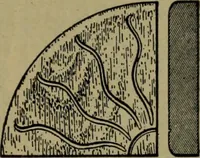 An illustration from Universal design book : containing official list prices of sash, doors and blinds ... official list prices of head, corner and base blocks ... official moulding book ... official list: window glass .. (1908)