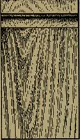 An illustration from Universal design book : containing official list prices of sash, doors and blinds ... official list prices of head, corner and base blocks ... official moulding book ... official list: window glass .. (1908)