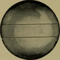 An illustration from Universal design book : containing official list prices of sash, doors and blinds ... official list prices of head, corner and base blocks ... official moulding book ... official list: window glass .. (1908)