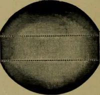 An illustration from Universal design book : containing official list prices of sash, doors and blinds ... official list prices of head, corner and base blocks ... official moulding book ... official list: window glass .. (1908)