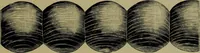 An illustration from Universal design book : containing official list prices of sash, doors and blinds ... official list prices of head, corner and base blocks ... official moulding book ... official list: window glass .. (1908)