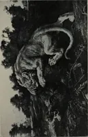 An illustration from The University prints. Student series D. Art of the Netherlands and Germany; five hundred reproductions illustrating the Flemish, Dutch, and German schools of painting, from the early fifteenth to the eighteenth century; German sculpture from the eleventh to the seventeenth century (1907)