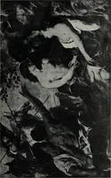 An illustration from The University prints. Student series D. Art of the Netherlands and Germany; five hundred reproductions illustrating the Flemish, Dutch, and German schools of painting, from the early fifteenth to the eighteenth century; German sculpture from the eleventh to the seventeenth century (1907)