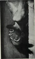 An illustration from The University prints. Student series D. Art of the Netherlands and Germany; five hundred reproductions illustrating the Flemish, Dutch, and German schools of painting, from the early fifteenth to the eighteenth century; German sculpture from the eleventh to the seventeenth century (1907)