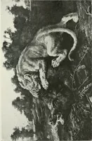 An illustration from The University Prints. Student series D. Art of the Netherlands and Germany; five hundred reproductions illustrating the Flemish, Dutch, and German schools of painting, from the early fifteenth to the eighteenth century; German sculpture from the eleventh to the seventeenth century (1907)