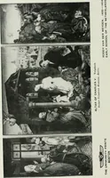 Picture 25 of 505 from The University Prints. Student series D. Art of the Netherlands and Germany; five hundred reproductions illustrating the Flemish, Dutch, and German schools of painting, from the early fifteenth to the eighteenth century; German sculpture from the eleventh to the seventeenth century (1907), leaf 37