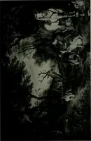 An illustration from The University Prints. Student series D. Art of the Netherlands and Germany; five hundred reproductions illustrating the Flemish, Dutch, and German schools of painting, from the early fifteenth to the eighteenth century; German sculpture from the eleventh to the seventeenth century (1907)