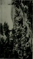 Picture 144 of 501 from The University Prints. Student series D. Art of the Netherlands and Germany; five hundred reproductions illustrating the Flemish, Dutch, and German schools of painting, from the early fifteenth to the eighteenth century; German sculpture from the eleventh to the seventeenth century (1907), leaf 146