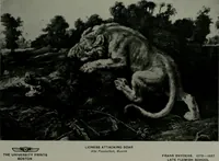 An illustration from The University Prints. Student series D. Art of the Netherlands and Germany; five hundred reproductions illustrating the Flemish, Dutch, and German schools of painting, from the early fifteenth to the eighteenth century; German sculpture from the eleventh to the seventeenth century (1907)