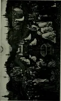 An illustration from The University Prints. Student series D. Art of the Netherlands and Germany; five hundred reproductions illustrating the Flemish, Dutch, and German schools of painting, from the early fifteenth to the eighteenth century; German sculpture from the eleventh to the seventeenth century (1907)