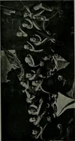 An illustration from The University Prints. Student series D. Art of the Netherlands and Germany; five hundred reproductions illustrating the Flemish, Dutch, and German schools of painting, from the early fifteenth to the eighteenth century; German sculpture from the eleventh to the seventeenth century (1907)