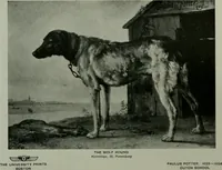 An illustration from The University Prints. Student series D. Art of the Netherlands and Germany; five hundred reproductions illustrating the Flemish, Dutch, and German schools of painting, from the early fifteenth to the eighteenth century; German sculpture from the eleventh to the seventeenth century (1907)