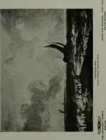 An illustration from The University Prints. Student series D. Art of the Netherlands and Germany; five hundred reproductions illustrating the Flemish, Dutch, and German schools of painting, from the early fifteenth to the eighteenth century; German sculpture from the eleventh to the seventeenth century (1907)