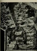 An illustration from University prints. Series B. Early Italian art; 500 plates to accompany Outlines for the study of art, volume 1 (1916)