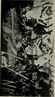 An illustration from University prints. Series B. Early Italian art; 500 plates to accompany Outlines for the study of art, volume 1 (1916)