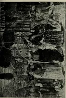 An illustration from University prints. Series B. Early Italian art; 500 plates to accompany Outlines for the study of art, volume 1 (1916)