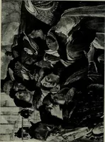 An illustration from University prints. Series B. Early Italian art; 500 plates to accompany Outlines for the study of art, volume 1 (1916)
