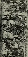 An illustration from University prints. Series B. Early Italian art; 500 plates to accompany Outlines for the study of art, volume 1 (1916)