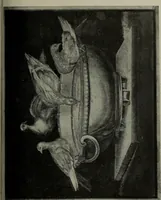 Picture 21 of 504 from University prints. Series B. Early Italian art; 500 plates to accompany Outlines for the study of art, volume 1 (1916), leaf 34