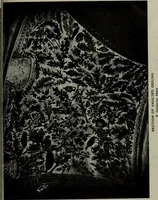 Picture 23 of 504 from University prints. Series B. Early Italian art; 500 plates to accompany Outlines for the study of art, volume 1 (1916), leaf 36