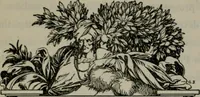 An illustration from The unknown quantity : a book of romance and some half-told tales (1912)