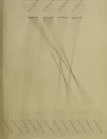 Picture 92 of 149 from [Un metier de fabrique, avec la dénomination des diverses objects nécessaires à la fabrication de l'étoffe (1835), leaf 168