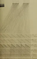 Picture 99 of 149 from [Un metier de fabrique, avec la dénomination des diverses objects nécessaires à la fabrication de l'étoffe (1835), leaf 180