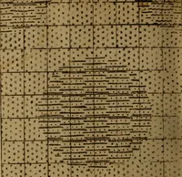 Picture 135 of 149 from [Un metier de fabrique, avec la dénomination des diverses objects nécessaires à la fabrication de l'étoffe (1835), leaf 229