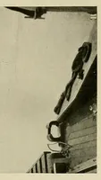 An illustration from Up against it in Nigeria : With 47 illustrations (1922)
