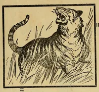 Picture 19 of 19 from Up against it in Nigeria : With 47 illustrations (1922), leaf 303