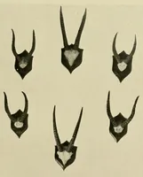 An illustration from Up against it in Nigeria : With 47 illustrations (1922)