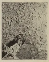 An illustration from Up-to-the-minute cyclopedia of paints and decorative materials (1930)