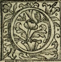 An illustration from Urbis patavinae inscriptiones sacrae, et prophanae ... (1701)