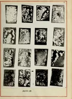 Picture 4 of 5 from The use of zinc sulphide as an opacifier, with some notes on the results of attempts to produce luminous enamels (1920), leaf 42