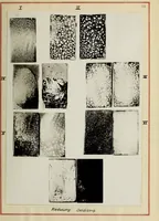 An illustration from The use of zinc sulphide as an opacifier, with some notes on the results of attempts to produce luminous enamels (1920)