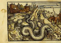 Picture 11 of 14 from Uslegung der Mercarthen oder Cartha marina : darin man sehen mag, wa einer in der Welt sey, vnd wa ein ietlich Land, Wasser vnd Stat gelege[n] ist. Das als in de[m] Büchlin zefinde[n] (1525), leaf 60
