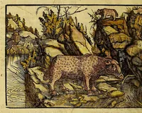 Picture 13 of 14 from Uslegung der Mercarthen oder Cartha marina : darin man sehen mag, wa einer in der Welt sey, vnd wa ein ietlich Land, Wasser vnd Stat gelege[n] ist. Das als in de[m] Büchlin zefinde[n] (1525), leaf 68
