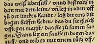 An illustration from Uslegung der Mercarthen oder Cartha marina : darin man sehen mag, wa einer in der Welt sey, vnd wa ein ietlich Land, Wasser vnd Stat gelege[n] ist. Das als in de[m] Büchlin zefinde[n] (1525)