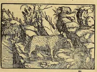 An illustration from Uslegung der Mercarthen oder Cartha marina : darin man sehen mag, wo einer in der wellt sey, vnd wo ein yetlich Landt, Wasser, vnd Stadt gelegen ist. Das alles in dem Büchlin zůfinden (1527)