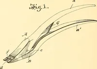 An illustration from U.S. patents covering time keeping mechanisms (1892)