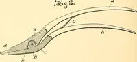 An illustration from U.S. patents covering time keeping mechanisms (1892)